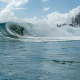 DMC REPELLOR FIN BLACK W/ORANGE STRAP NTIP