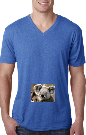 Men's Next Level Triblend V-Neck Tee