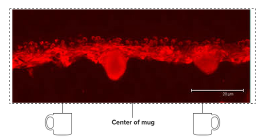 Custom 11oz Mug (2 sided)